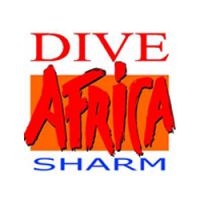 dive-afrika.ru